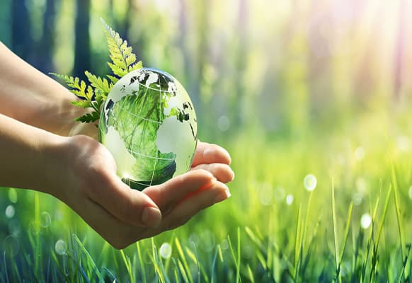 Prioritize Environmental Projects